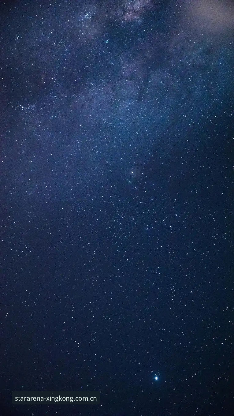 5个关键数据告诉你为何选择星空体育安卓版